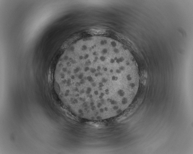 X0000110950763200907171628