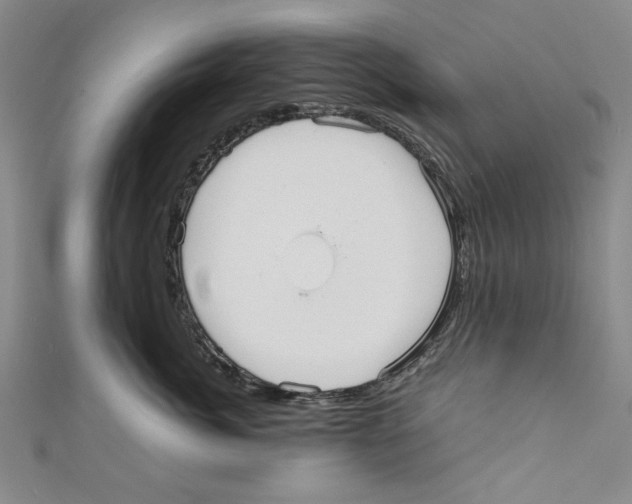 X0000110950764200907171628
