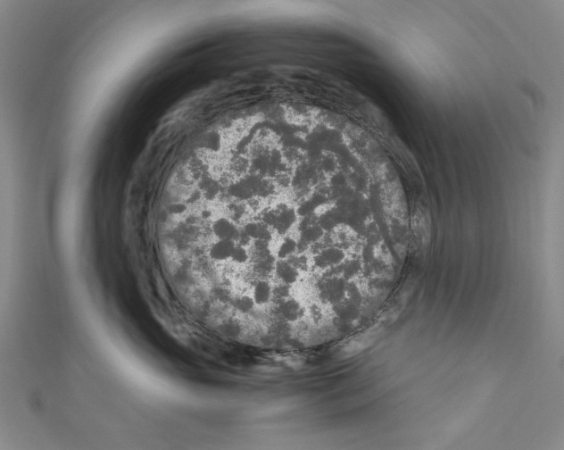 X0000110950765200907171628