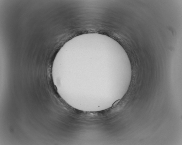 X0000110950768200907171628