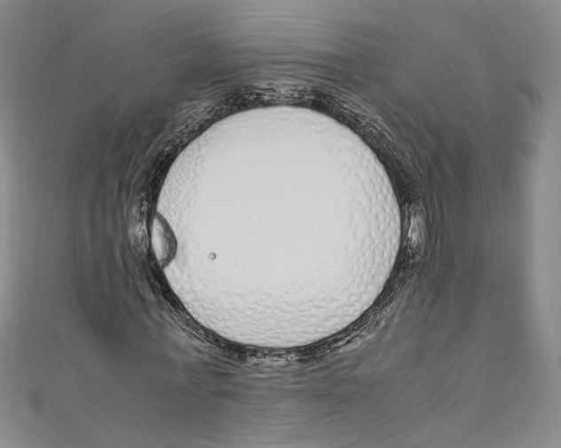 X0000110950771200907171628