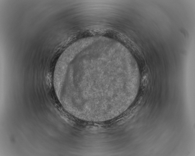 X0000110950772200907171628