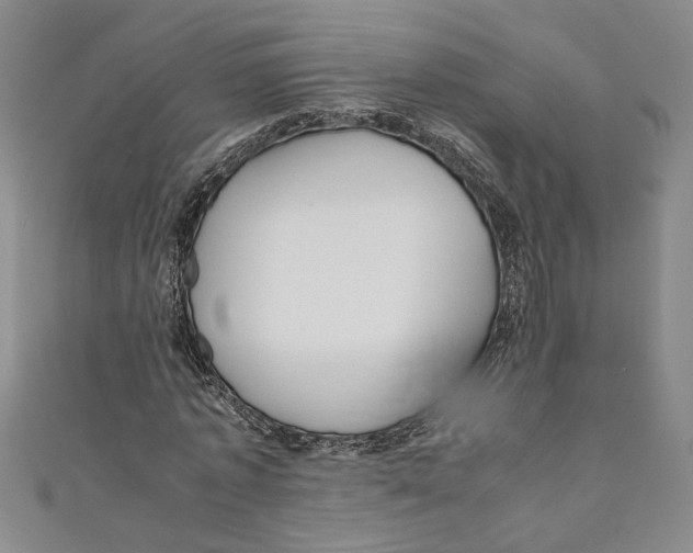 X0000110950773200907171628