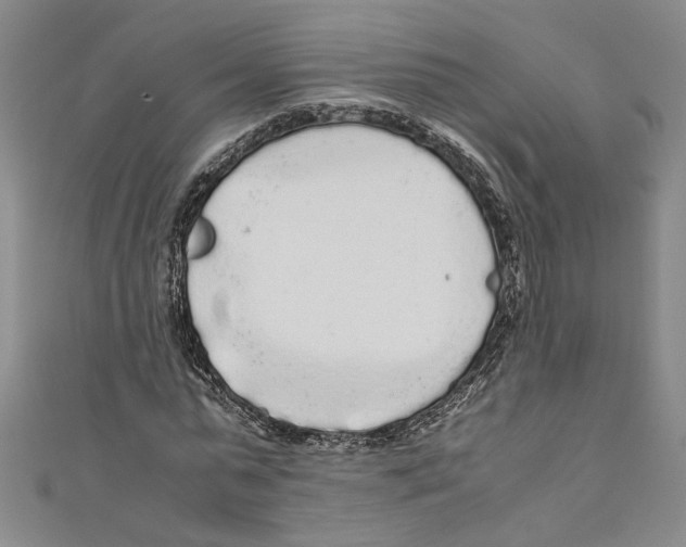 X0000110950775200907171628