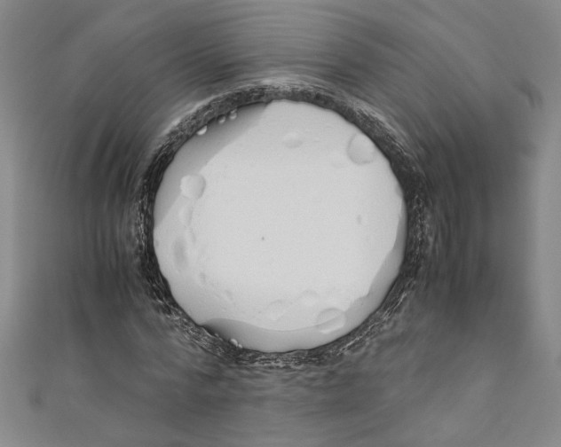 X0000110950776200907171628