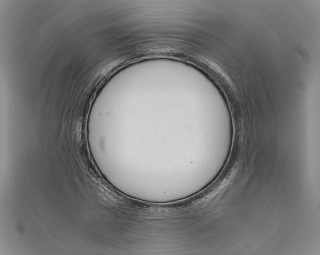 X0000110950777200907171628