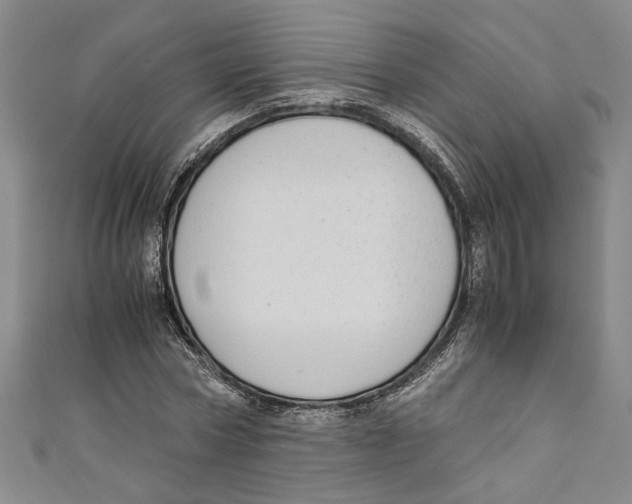 X0000110950778200907171628