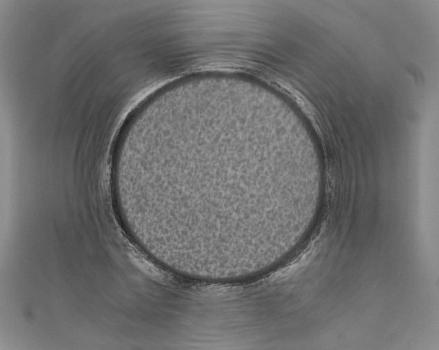 X0000110950779200907171628