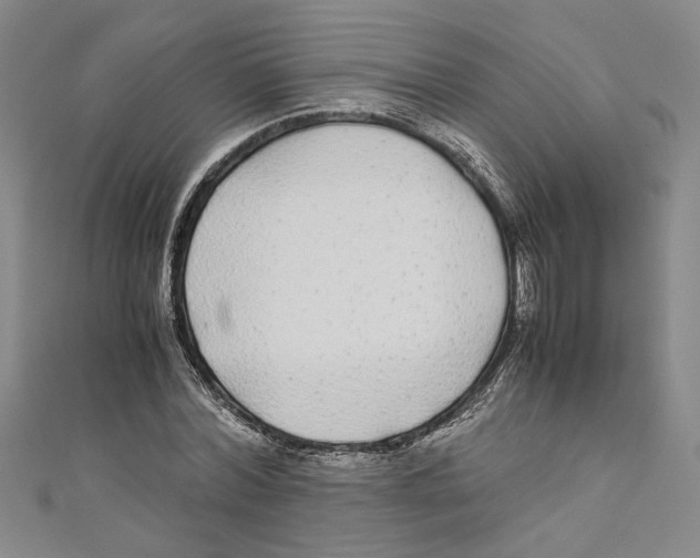 X0000110950780200907171628