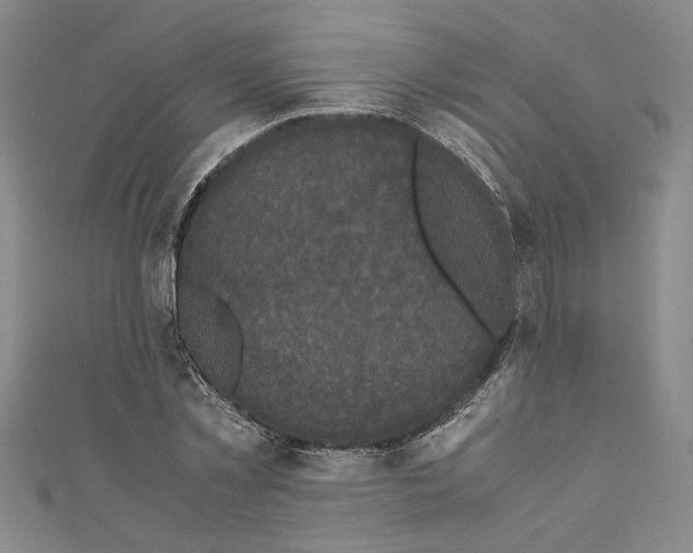 X0000110950781200907171628