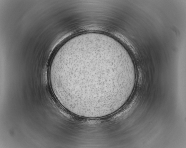 X0000110950782200907171628