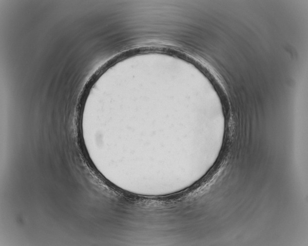 X0000110950783200907171628