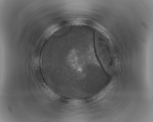 X0000110950785200907171628