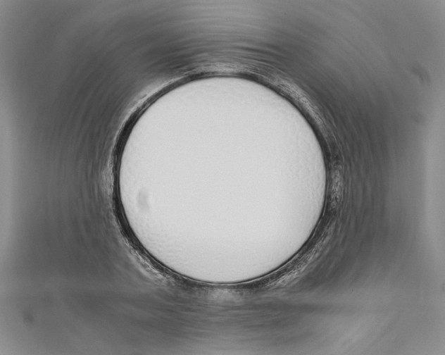 X0000110950787200907171628