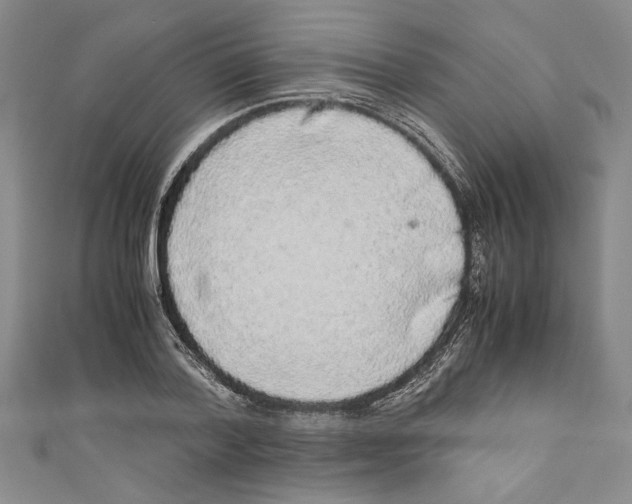 X0000110950788200907171628