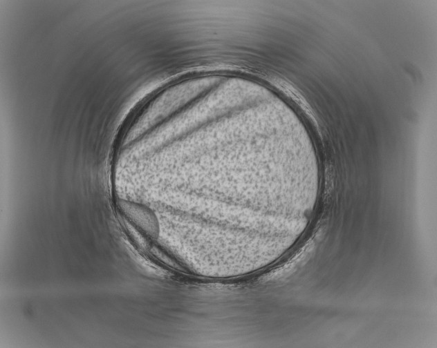 X0000110950789200907171627