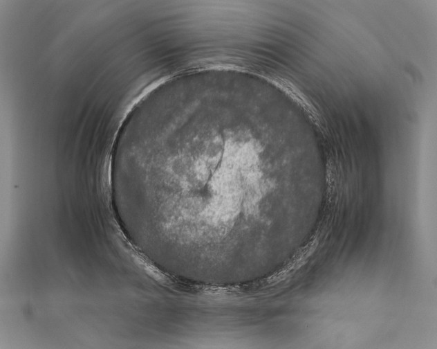 X0000110950790200907171627
