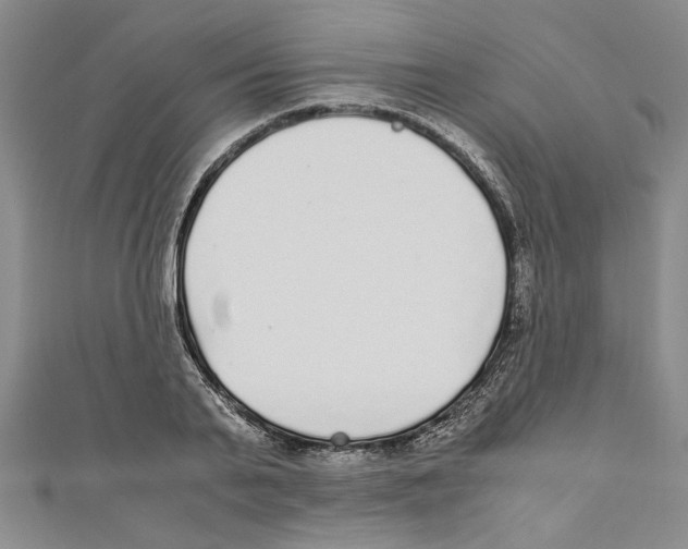 X0000110950791200907171627