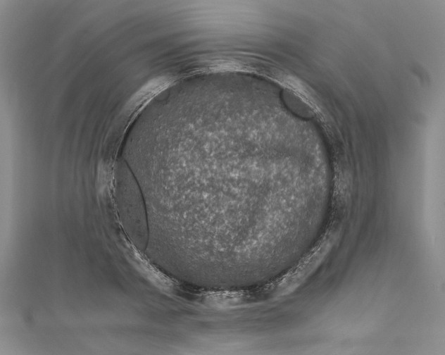 X0000110950793200907171627