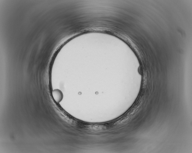 X0000110950795200907171627