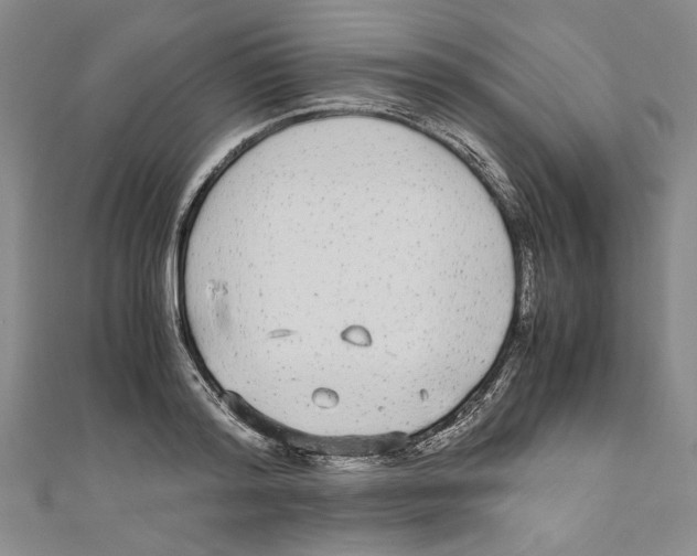X0000110950796200907171627