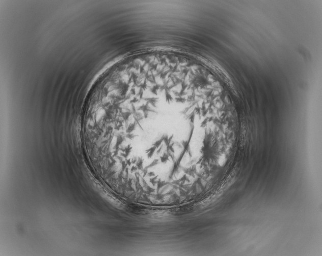X0000110950798200907171627