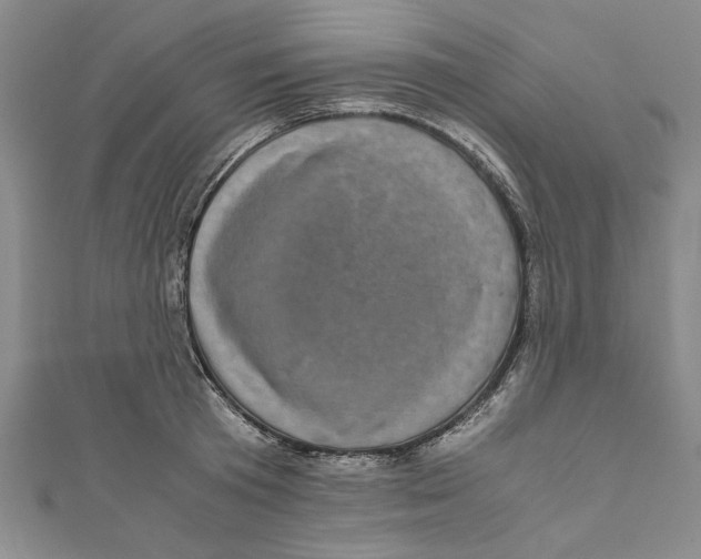 X0000110950801200907171627