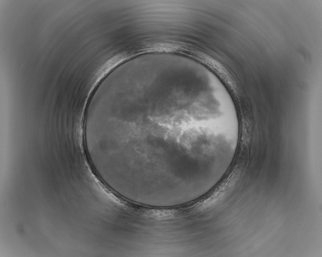 X0000110950802200907171627
