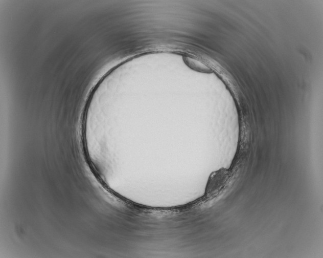 X0000110950803200907171627