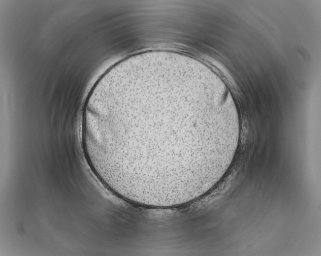 X0000110950804200907171627