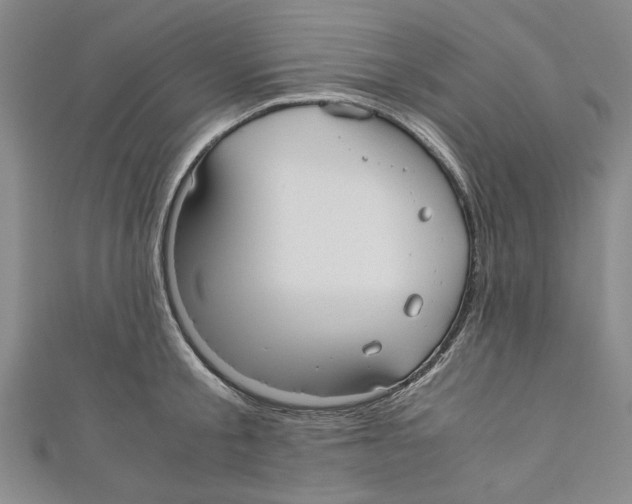 X0000110950805200907171627