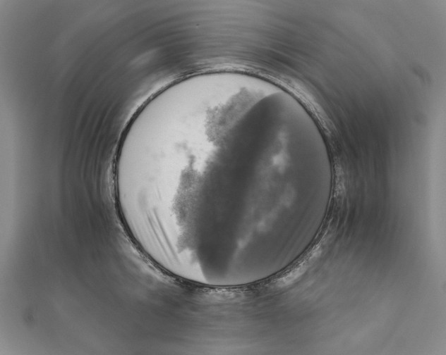 X0000110950806200907171627