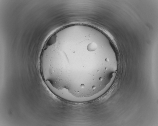 X0000110950807200907171627