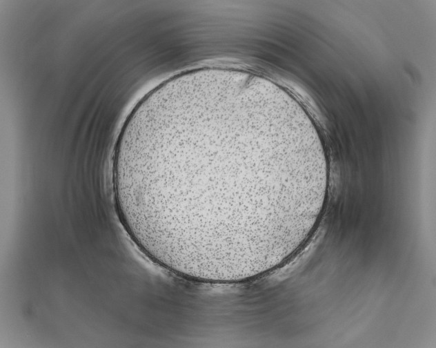 X0000110950808200907171627