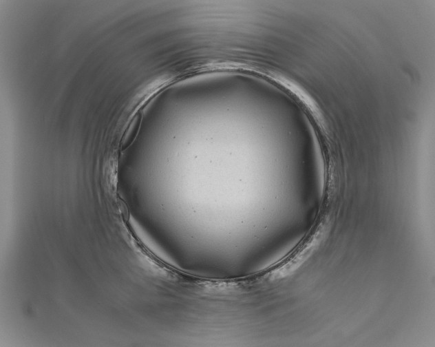 X0000110950809200907171627