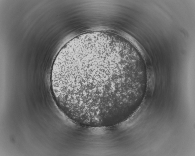 X0000110950810200907171627