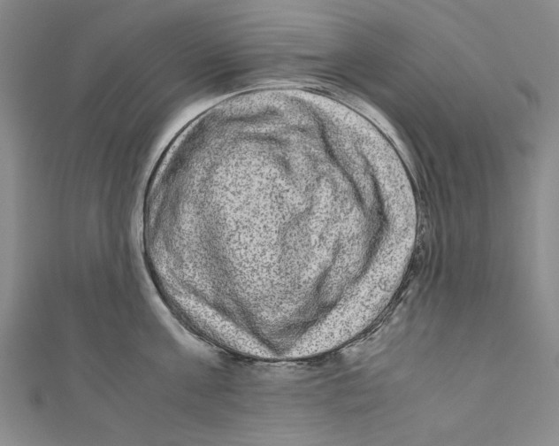 X0000110950811200907171627