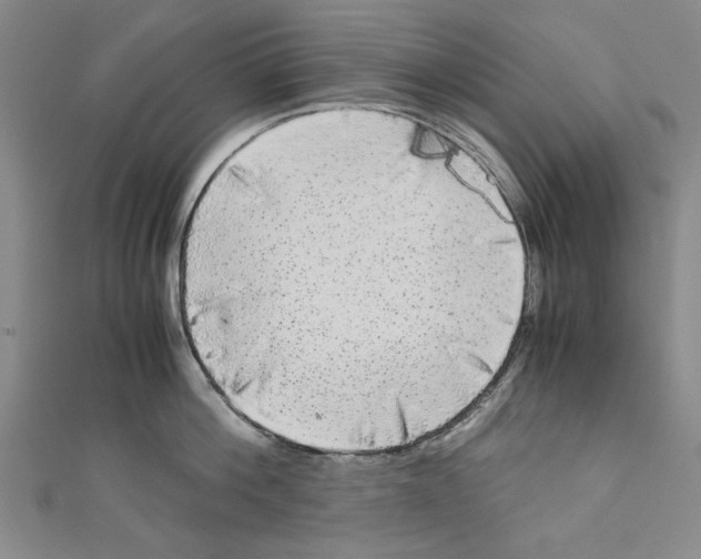 X0000110950812200907171627