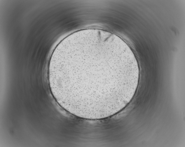 X0000110950816200907171627