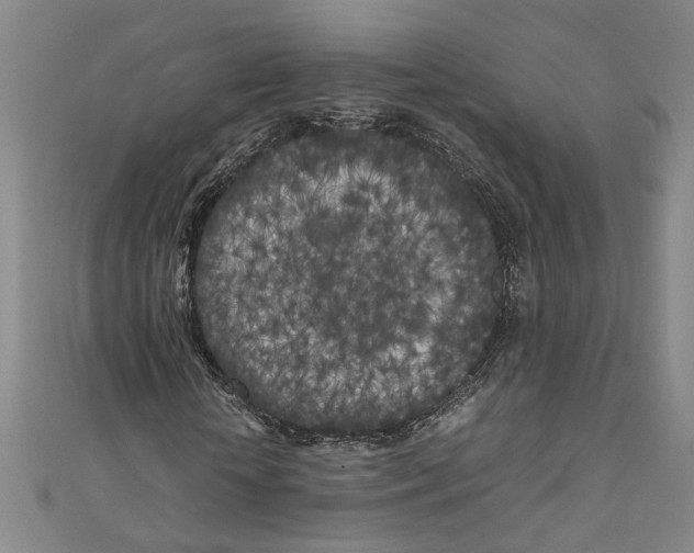 X0000110950818200907171626