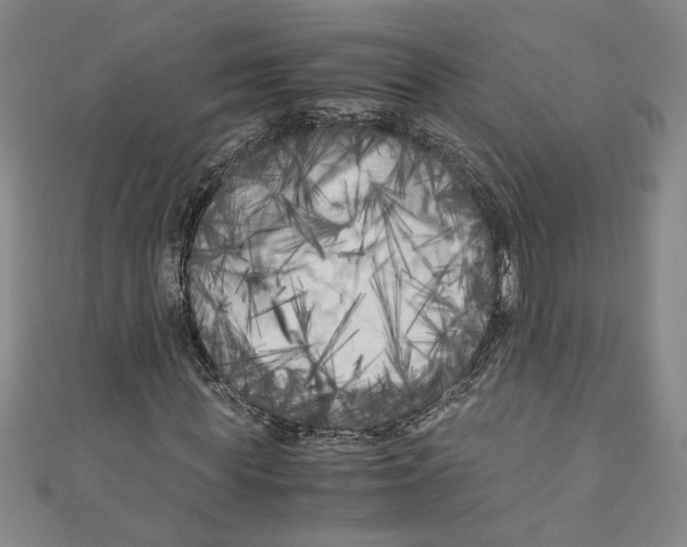 X0000110950819200907171626