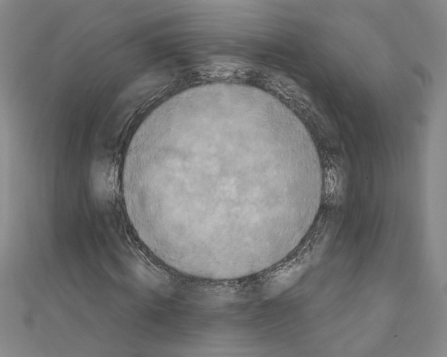X0000110950820200907171626