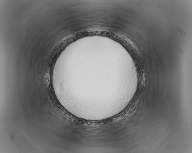 X0000110950821200907171626