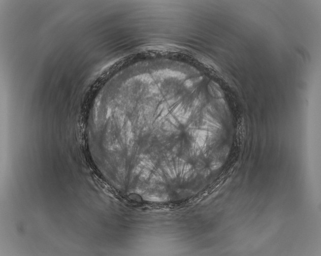 X0000110950822200907171626