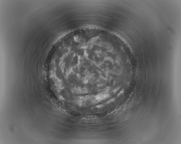 X0000110950823200907171626