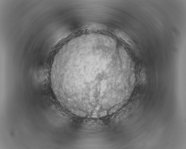 X0000110950824200907171626