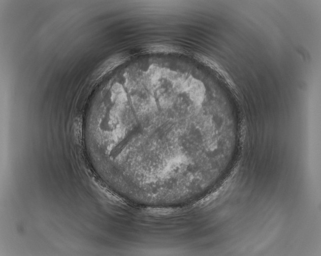 X0000110950825200907171626