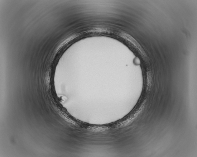 X0000110950826200907171626
