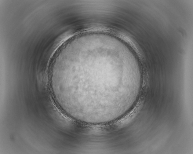 X0000110950828200907171627