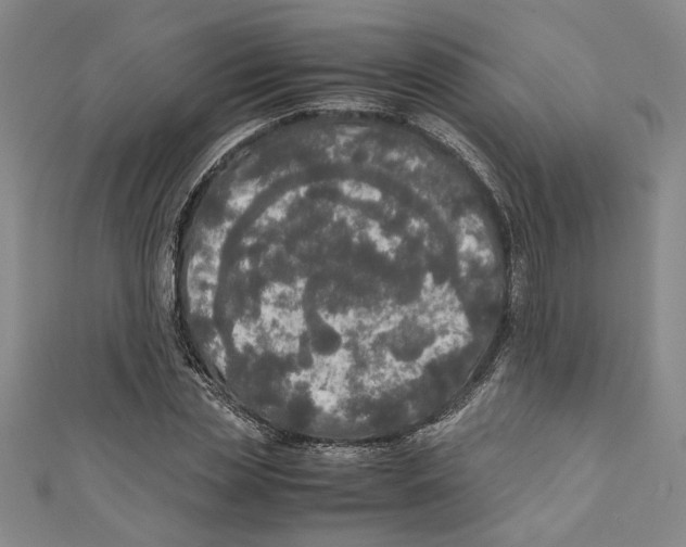 X0000110950829200907171627